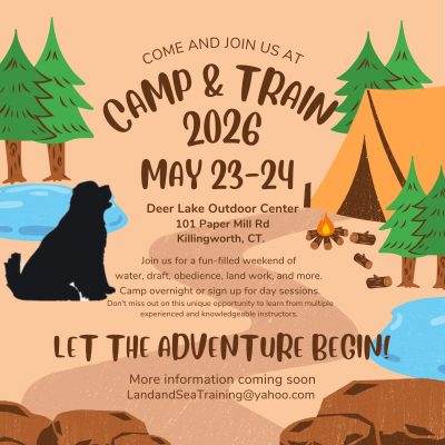 Camp & Train 2026 Flyer