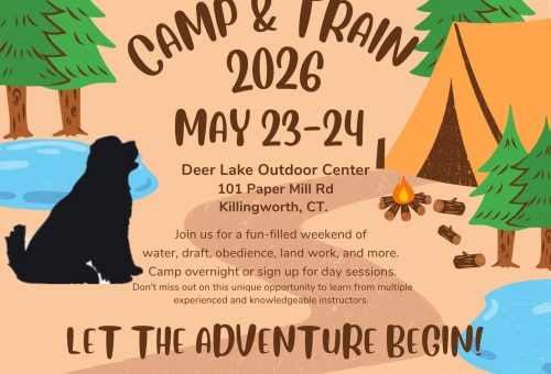 Camp & Train 2026 Flyer