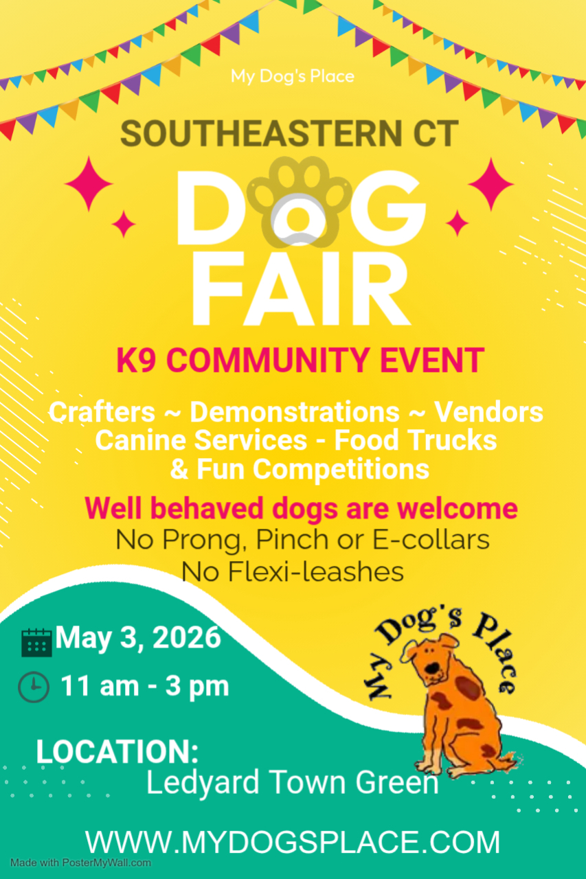 Southeastern CT Dog Fair Flyer