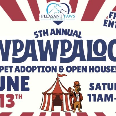 Pawpawpalooza