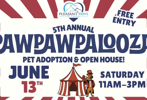 Pawpawpalooza